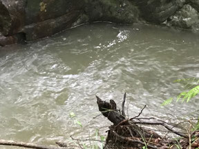 河童淵上流部分