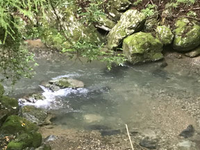 河童淵の可能性のある場所3
