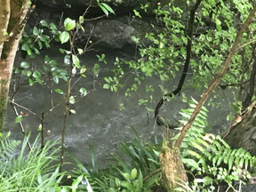 河童淵の可能性のある場所1