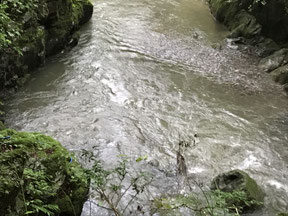 河童淵下流部分