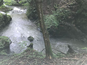 河童淵全景