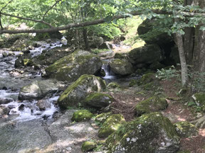 天狗の力比べ（右の岩の向こうが河童神社）