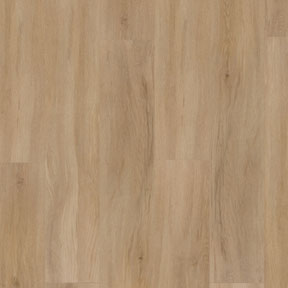 EVOLUTION TREND PR 4295 ROVERE EUROPEO