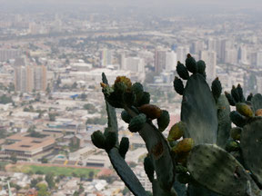 Blick auf die Häuser von Santiago de Chile bei Tag