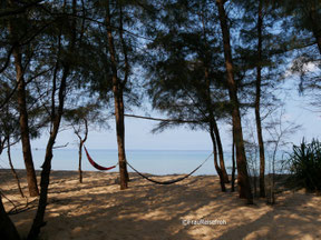 Hängematten zwischen Bäumen am Strand auf Koh Rong Sanloem