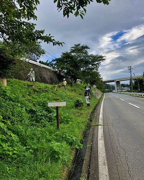 区内の外来種駆除、景観維持の草刈作業