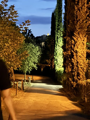 In der Ferne ein beleuchteter Turm von Siena 