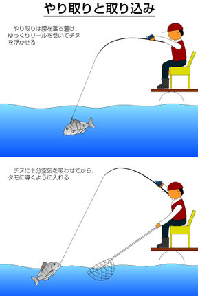 筏のチヌ釣り手順 チヌ釣りクラブ