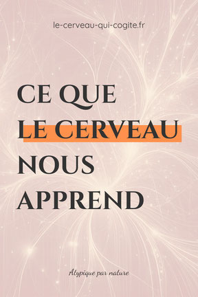 Ce que le cerveau nous apprend