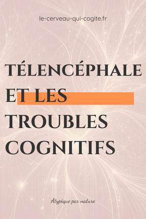 Télencéphale et les troubles cognitifs