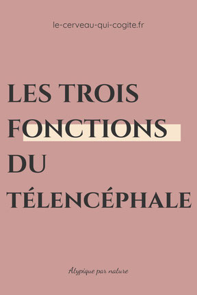 Les fonctions du télencéphale