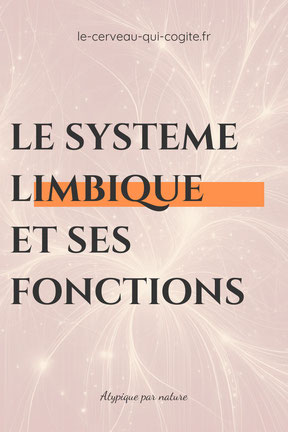 le système limbique et ses fonctions