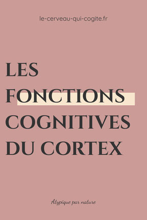 Les fonctions cognitives du cortex cérébral