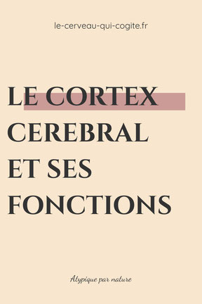 Le cortex cérébral et ses fonctions