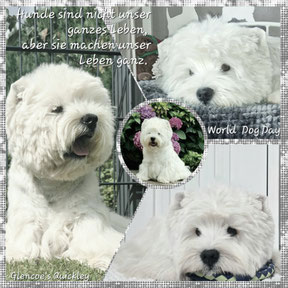 Westies von de Bek