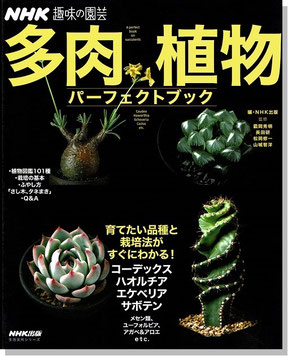 パーフェクトブック発売中です！