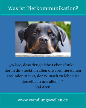 Was ist Tierkommunikation / „Wisse, dass der gleiche Lebensfunke, der in dir steckt, in all unseren tierischen Freunden steckt. Der Wunsch zu leben ist in uns allen gleich.“ – RaiAren