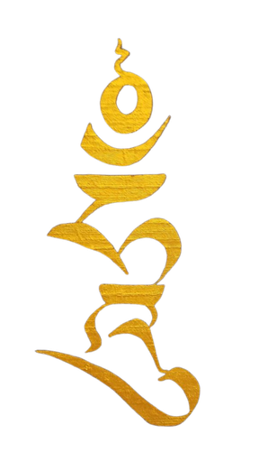Thérapies psycho-corporelles et énergétiques Troyes Paris, massothérapie, sophrologie, médecine traditionnelle tibétaine, médecine traditionnelle chinoise, ayurveda, yoga, tantra, mantras, méditation, massage tantrique, sexualité, traumas, cure