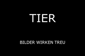 TIER - BILDER WIRKEN TREU