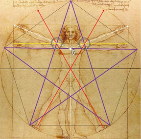 Le très connu Homme de Vitruve de Léonard de Vinci