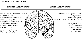 Dieses Bild kursiert im Netz und vermittelt ein falsches Bild von der Arbeitsteilung. Sie ist nicht so starr wie man das glauben könnte, wenn man sich dieses Bild ansieht!