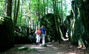 Mitten im Druidenhain