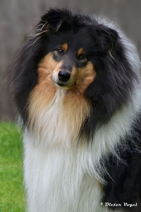 Buffy mit 3 Jahren