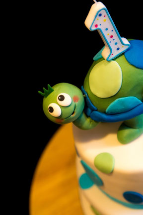 Kindergeburtstag - Torte für einen Jungen mit Schildkröte