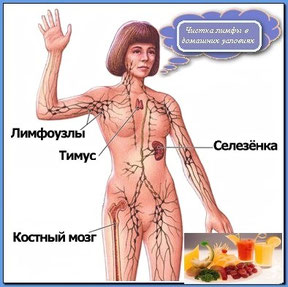 Очистка Лимфы - Територия Здоровья