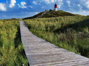 Bohlenweg auf der Insel Amrum