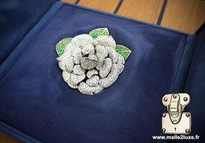 Custom case for brooch. High jewelry French manufacturer