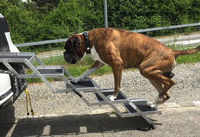 Hundetreppe Furs Auto Zusammenklappbar Robust Gelenkschonend Hundetreppen Shop Com