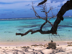 escursione isola di Cousin Seychelles, 