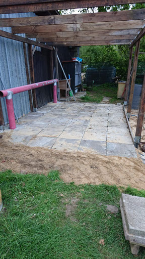 Poesie Uber Islandpferde Islandpferde Vom Holsteiner Auenland Christina Mletzeck