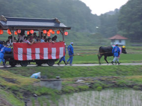 横を歩くのが、飼い主さん。