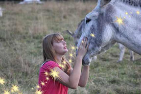 carte cadeau pour un randonner avec un âne