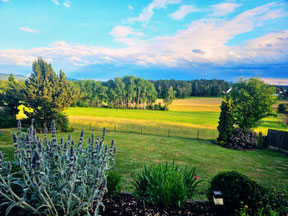 Blick aus dem Praxisfenster