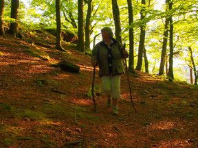 den Rückweg hatten wir mit einer Holz-Stange markiert