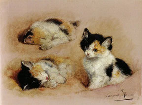 HENRIETTE RONNER KNIP - Studio di un gatto che si sveglia
