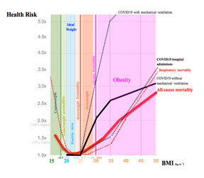 Your bodyweight determines your disease risk