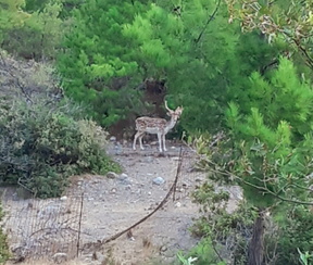 Catrin-Meier.de-magischer-aromaduft-testimonial-angebot