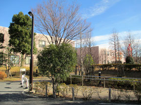 K2キャンパス