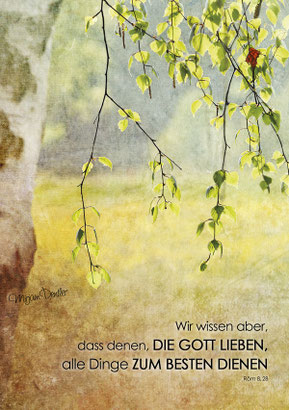 Zum Besten dienen, Birke, Christliche Karten