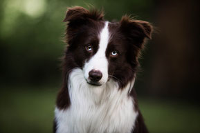 Juno