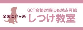 優良家庭犬認定試験　GCT