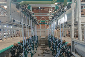 robot de traite ferme moderne val de loire lait cru fermier 