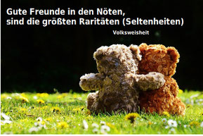 2 Bären sitzen auf der Wiese