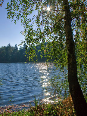 Vielbecker See Foto: Ingrid Strauß