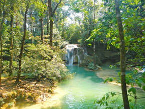 Selva Lacandona, Chiapas
