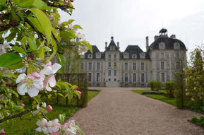 Le Château de Cheverny